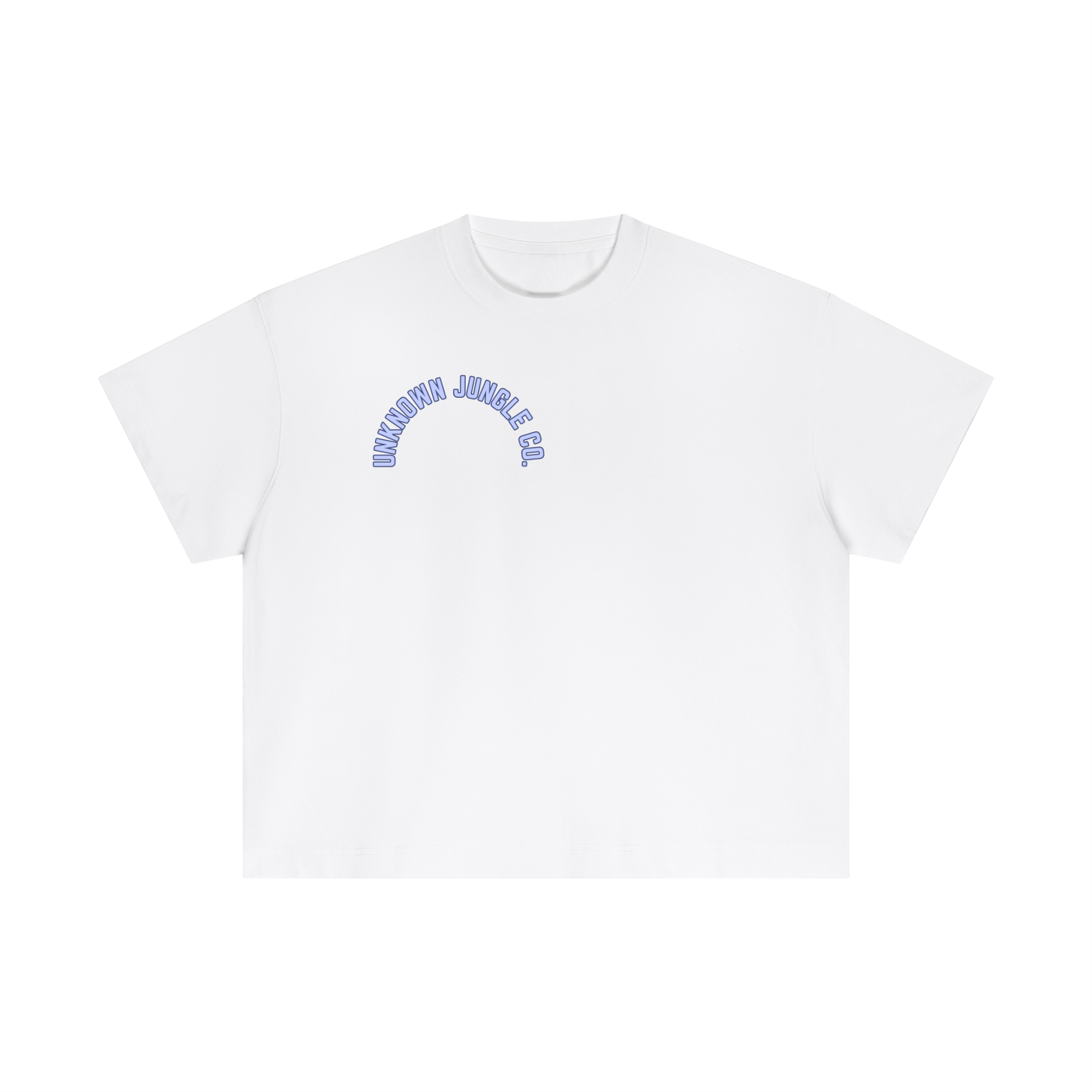 Essential Cotton Boxy T-Shirt